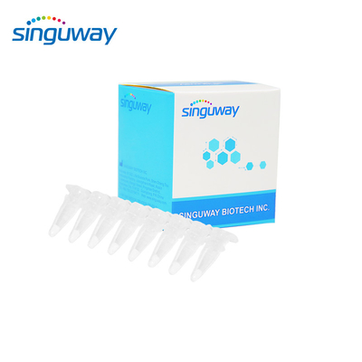 15 Arten HPV Realzeit-PCR-Ausrüstung 40uL qualitativer HPV PCR Kit For Human